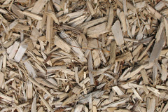 biomass boilers Winmarleigh Moss